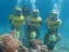 Aqua Star Diving - Thumbnail 1