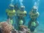 Aqua Star Diving - Thumbnail 1