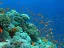 Glass Bottom Boat Cruise in Eilat - Thumbnail 1