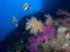 Introductory Dive in Eilat - Thumbnail 1