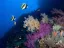 Introductory Dive in Eilat - Thumbnail 1