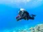 Introductory Dive in Eilat - Thumbnail 3