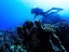 Introductory Dive in Eilat - Thumbnail 4