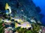 Introductory Dive in Eilat - Thumbnail 8
