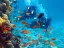 intro diving - Thumbnail 2
