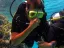 Intro Diving and Snorkeling day Trip - Thumbnail 5