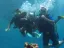 Intro Diving and Snorkeling day Trip - Thumbnail 13