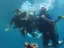 Excursion d'une journée de plongée d'initiation et de plongée en apnée - Thumbnail 13