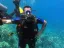 Intro Diving and Snorkeling day Trip - Thumbnail 16