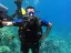 Excursion d'une journée de plongée d'initiation et de plongée en apnée - Thumbnail 16