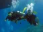 Intro Diving and Snorkeling day Trip - Thumbnail 19