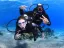 Introductory Dive - Thumbnail 1