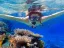 Coral Beach Nature Reserve - Thumbnail 1