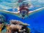 Coral Beach Nature Reserve - Thumbnail 1