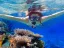 Réserve naturelle de Coral Beach - Thumbnail 1
