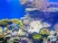 Réserve naturelle de Coral Beach - Thumbnail 2