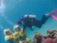 Plongée d'initiation à Eilat - Thumbnail 7