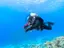 Plongée d'initiation à Eilat - Thumbnail 3