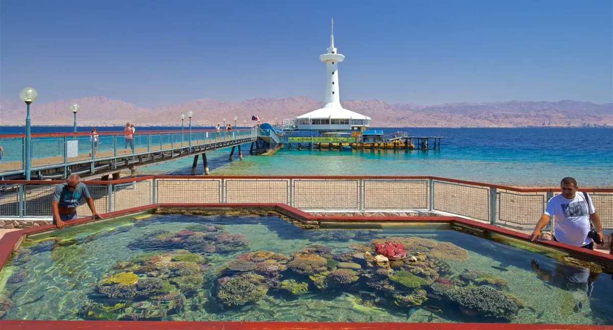 Underwater Observatory Combined ticket. Park entrance, Aquadome 3D and an evening tour at Timna Park