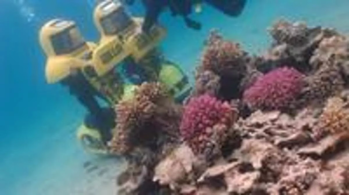 Aqua Star Diving - Image 2