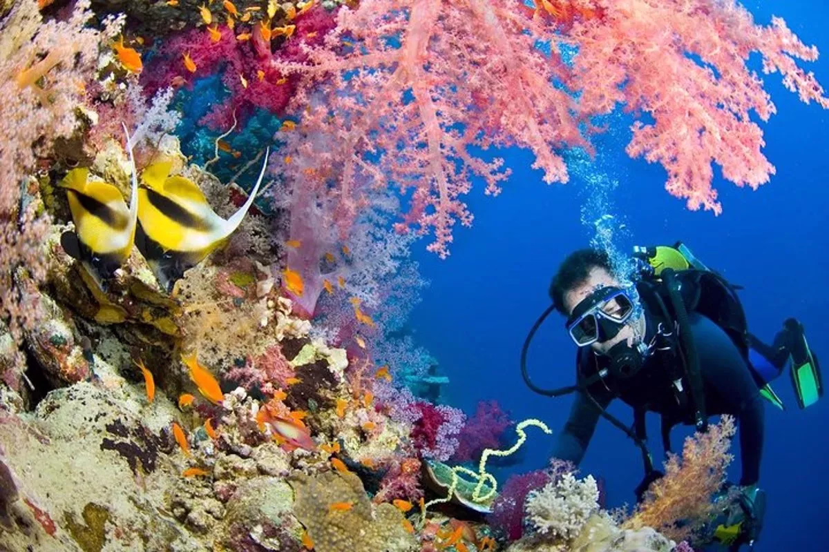 Intro Diving and Snorkeling day Trip - Image 1