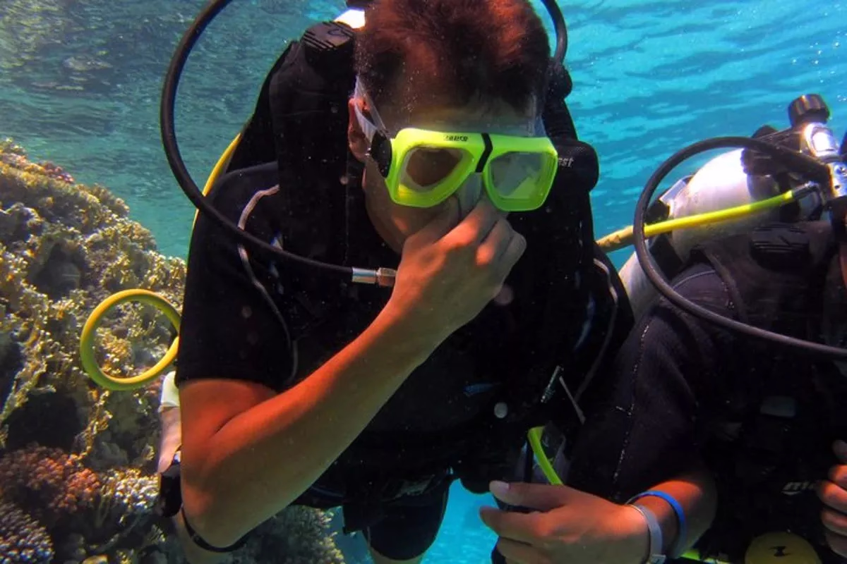 Intro Diving and Snorkeling day Trip - Image 5