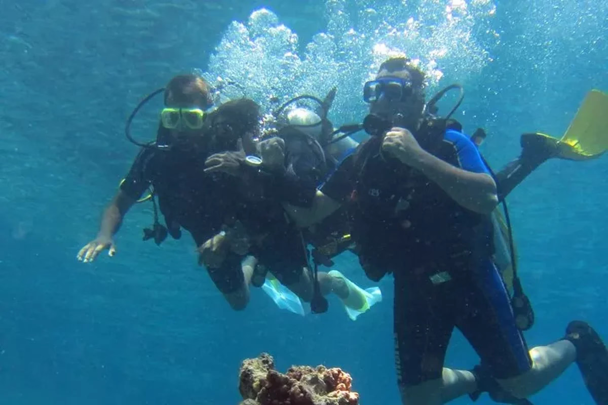 Excursion d'une journée de plongée d'initiation et de plongée en apnée - Image 13