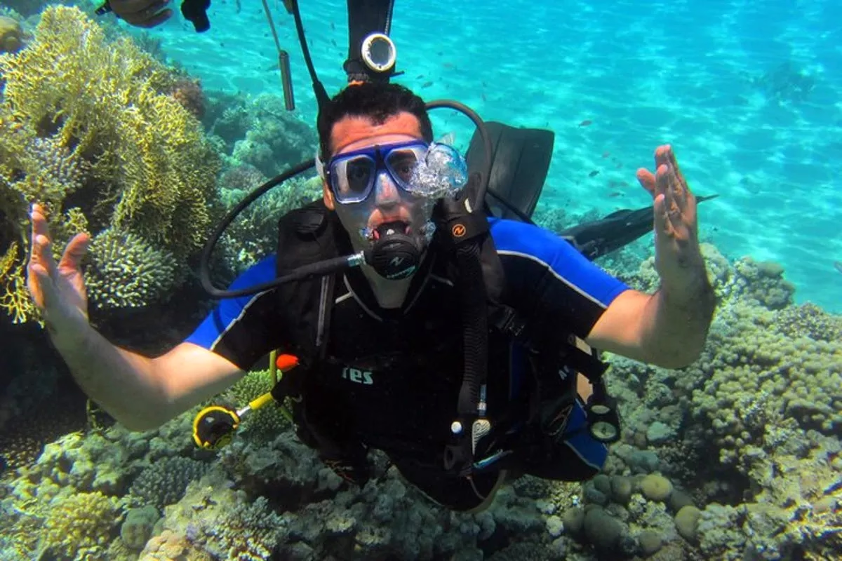 Intro Diving and Snorkeling day Trip - Image 14