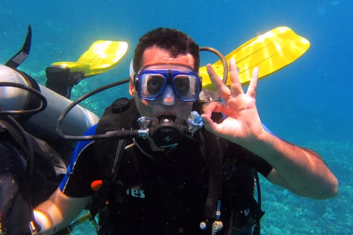 Intro Diving and Snorkeling day Trip - Image 15
