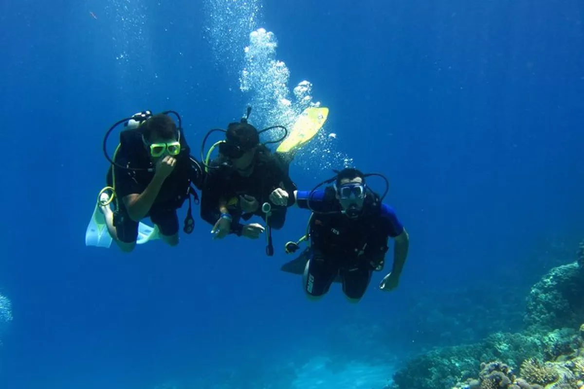 Intro Diving and Snorkeling day Trip - Image 18