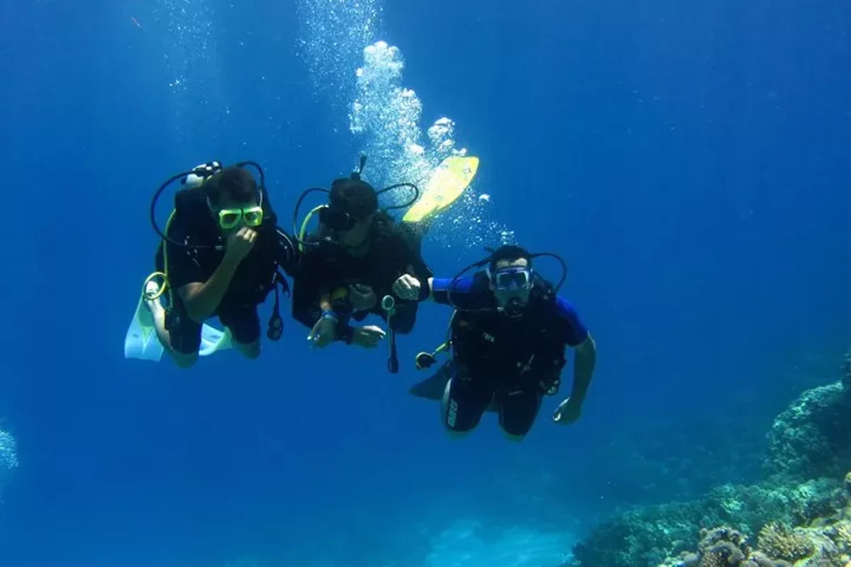 Excursion d'une journée de plongée d'initiation et de plongée en apnée - Image 18