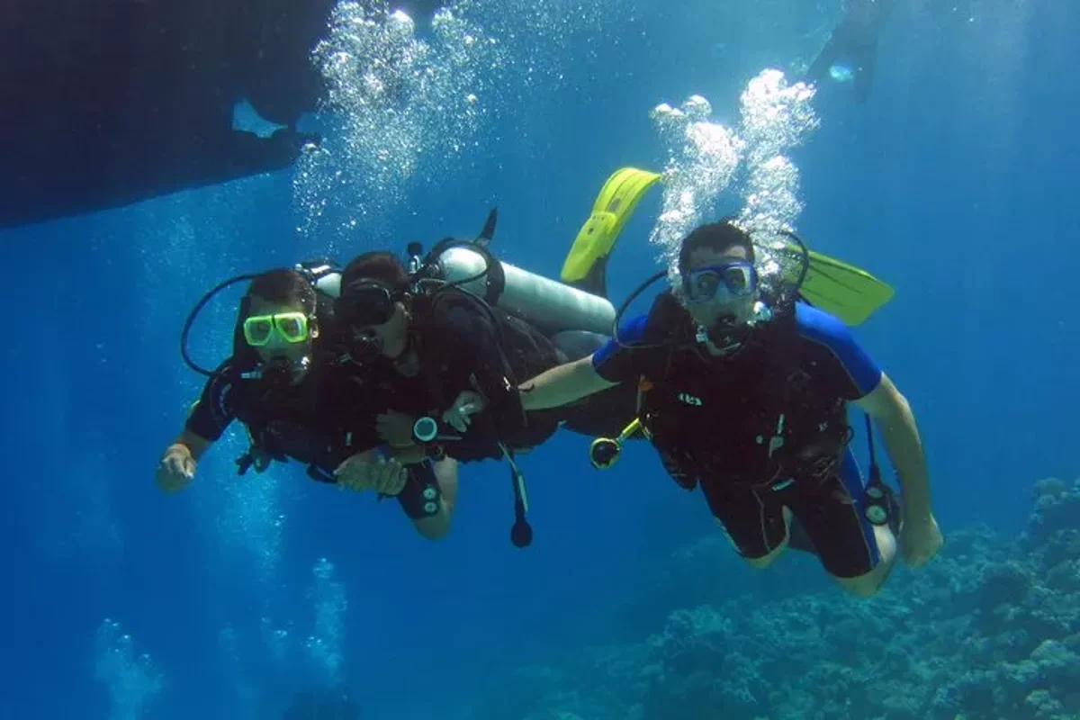 Excursion d'une journée de plongée d'initiation et de plongée en apnée - Image 19
