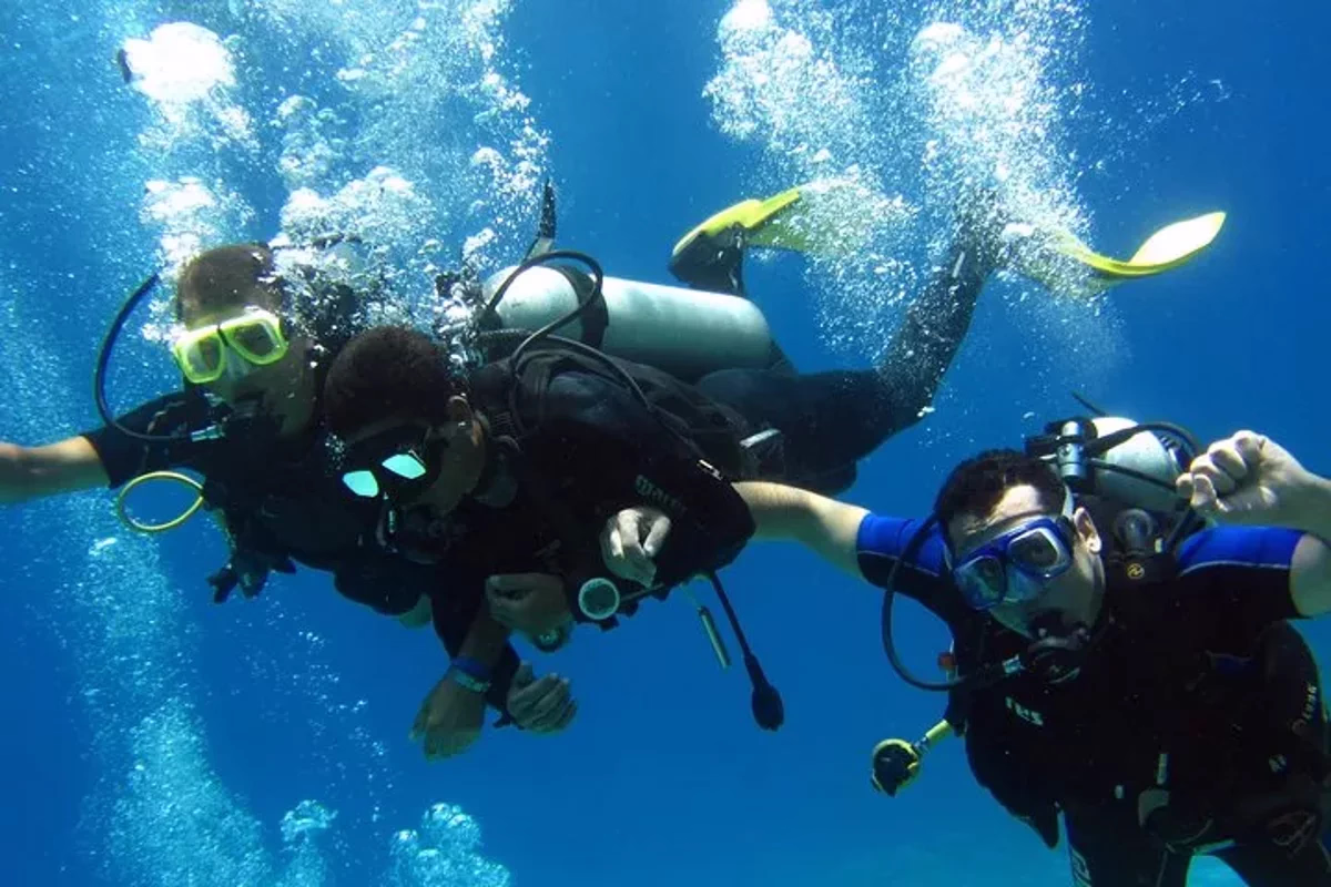 Excursion d'une journée de plongée d'initiation et de plongée en apnée - Image 21