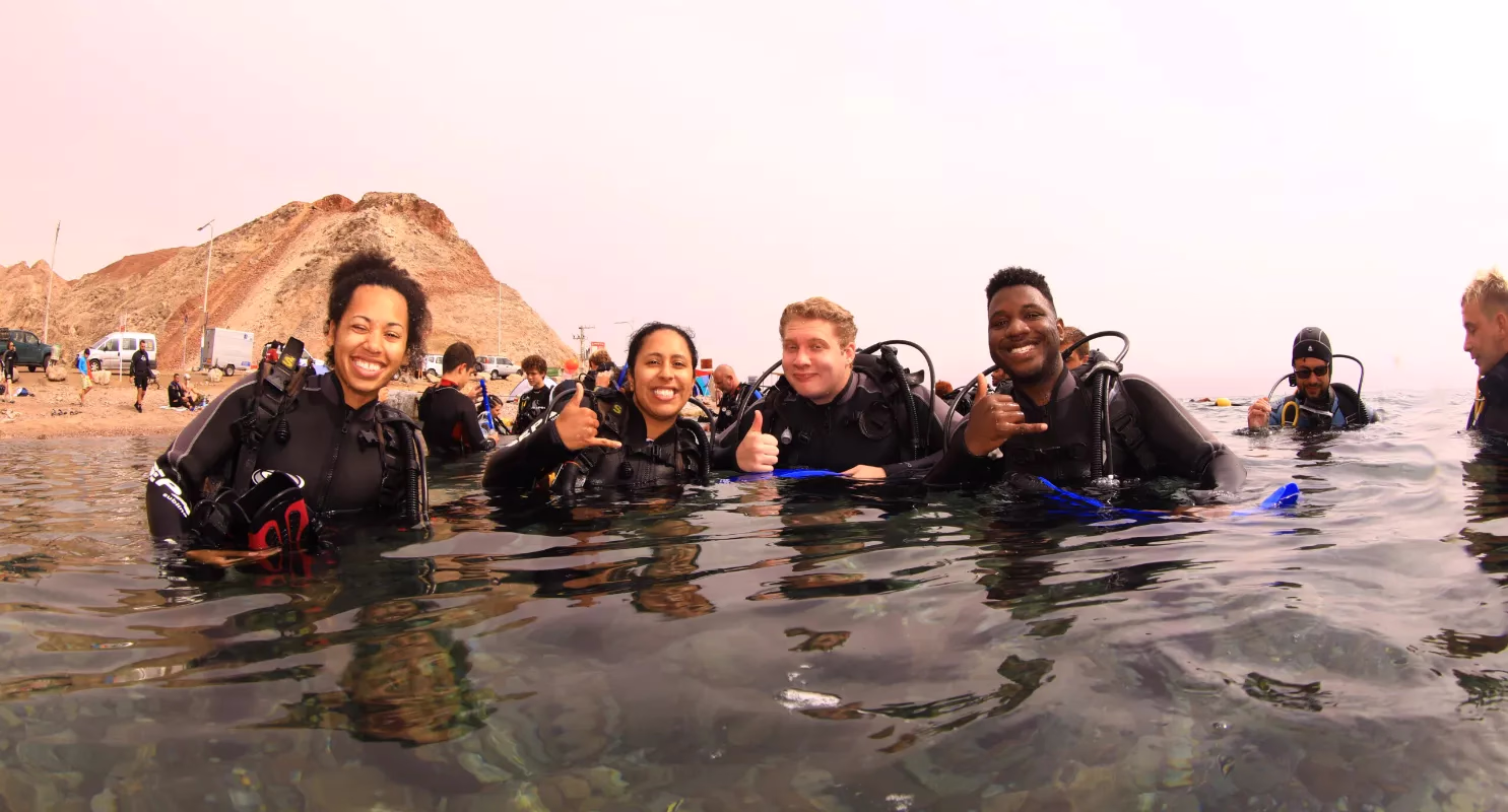 Introductory Dive - Image 3