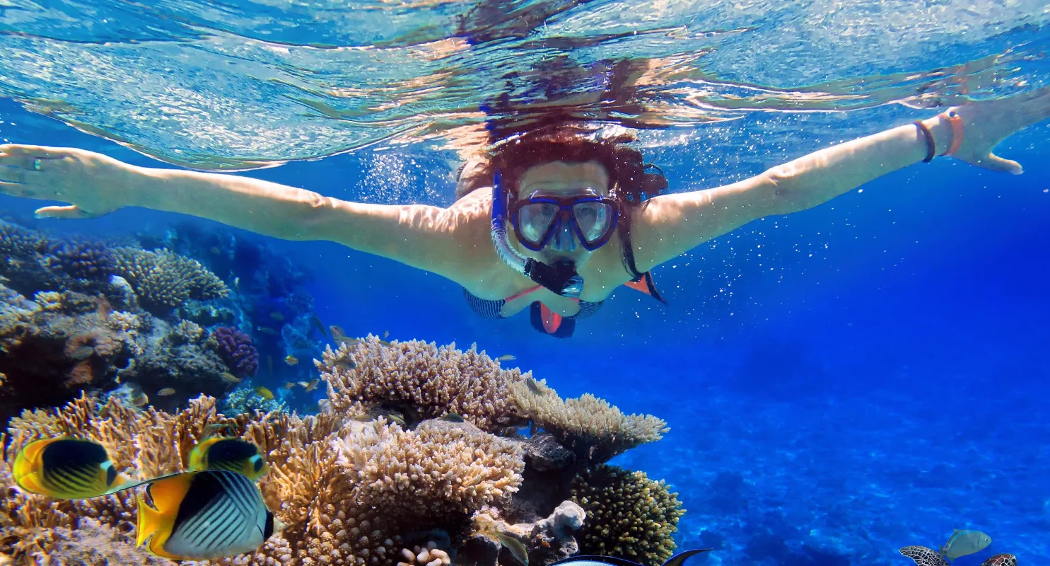 Réserve naturelle de Coral Beach - Image 1