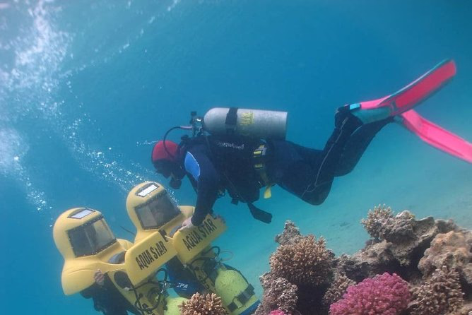 Plongée d'initiation à Eilat - Image 7