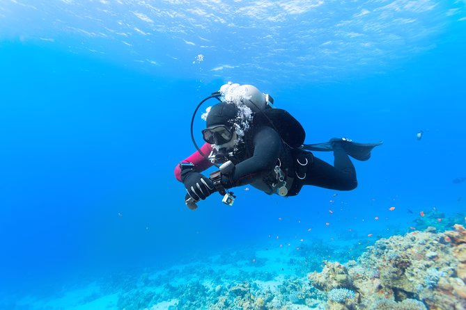 Plongée d'initiation à Eilat - Image 3