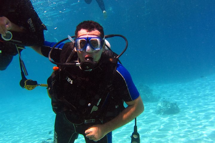 Intro Diving and Snorkeling day Trip - Image 3
